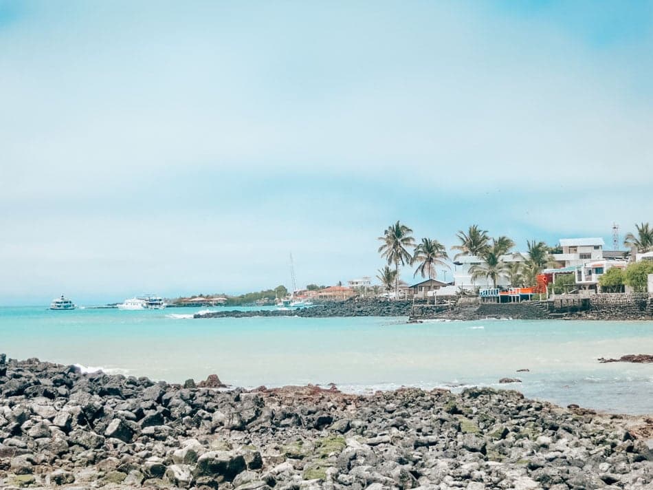 Puerto Ayora | Santa Cruz 