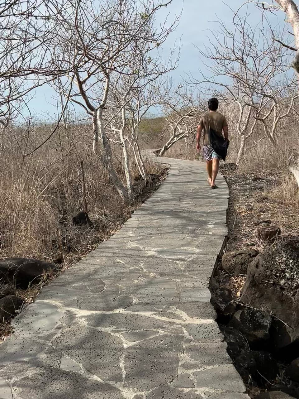 Long Stays in the Galápagos: FAQs & Tips